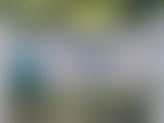 Walkabout: Audubon Night Walkabout at Hathaway Park on March 3, 2020