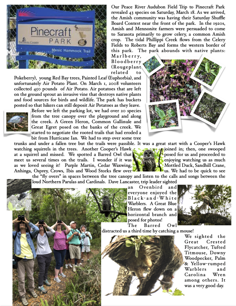 Trip Report Pinecraft Park