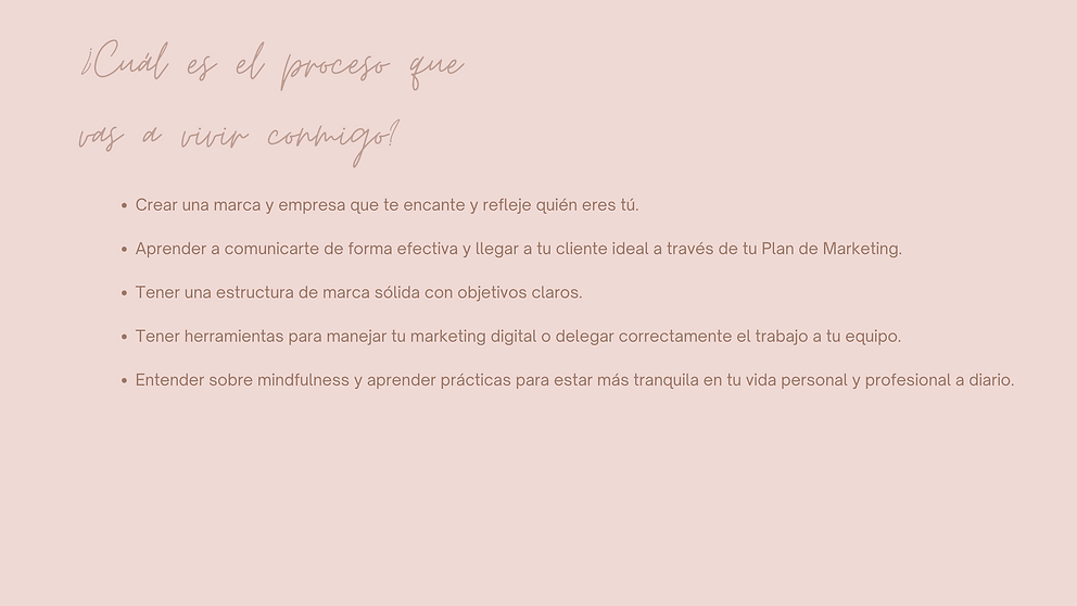 Pink and Brown Simple Handwritten Portfolio Presentation (13).png