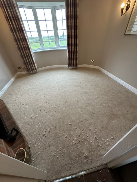 brown carpet
