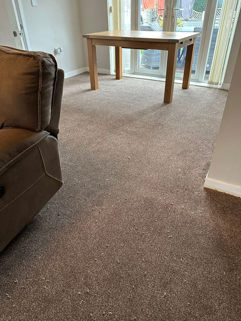 Fitted Brown Carpet
