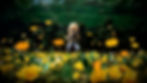 A Man Who Takes Pictures of Flowers_02.jpg