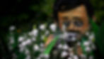 A Man Who Takes Pictures of Flowers_06.jpg