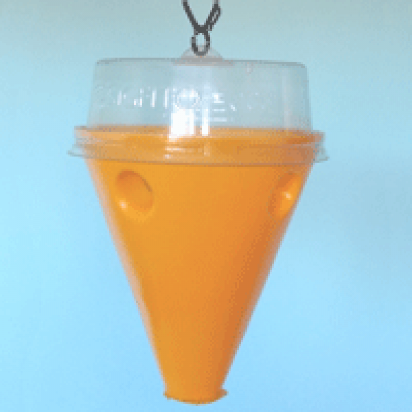 Armadilha Conetrap