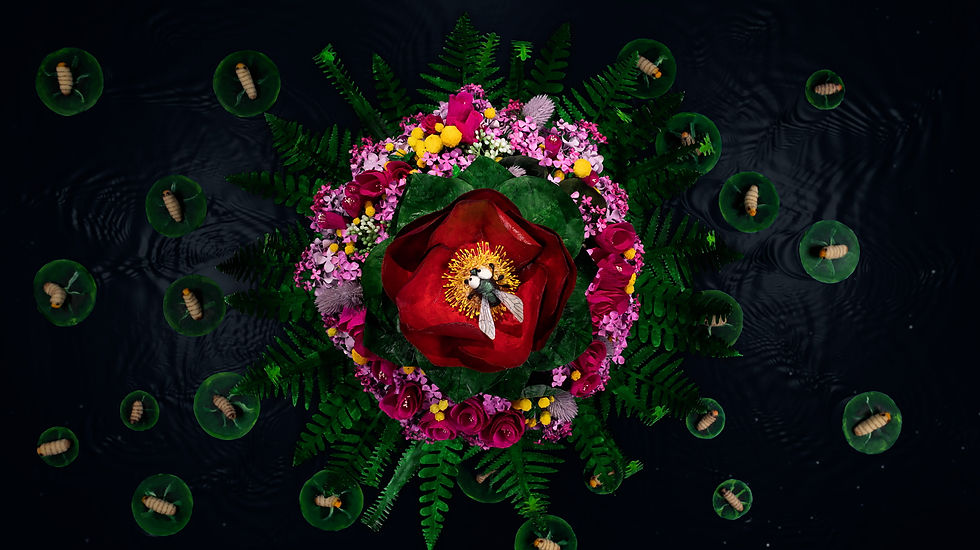 The Nectar Instead2.jpg