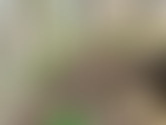 Landscaping in Hellstrips and Riverbeds