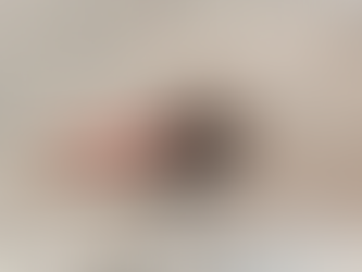 Do Dragonflies Control Mosquitoes?