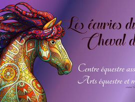 Journée harmonisation de la relation cheval - cavalier