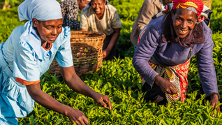 Empowering Women Through Education