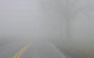 Foggy morning