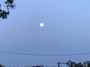 What do you see?