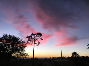 Beautiful morning