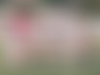 "Chihuahua FC busca su pase a semifinales en duelo crucial contra FC Juárez"