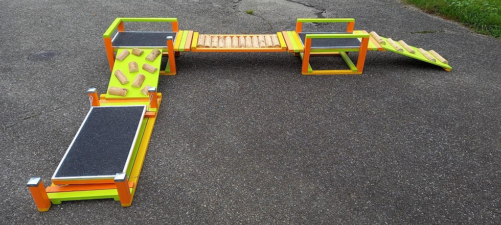 Miniaturbild: Welpenspielplatz, Welpenspielgerät, cellis-atelier