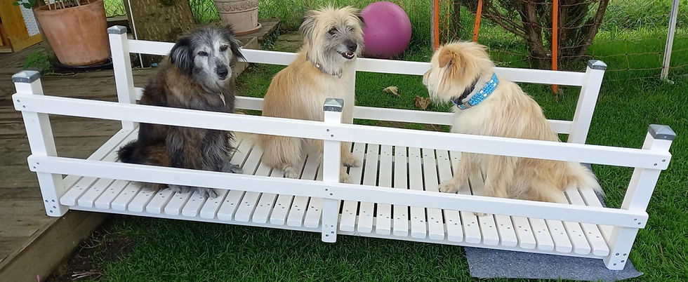 Miniaturbild: Brücke für Hunde, Hundebrücke, cellis-atelier