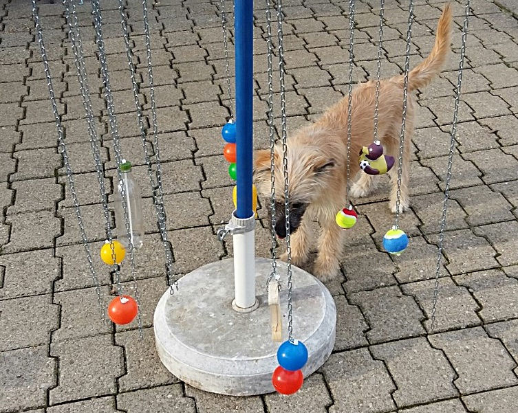Miniaturbild: Welpenspiegerät für Züchter, Welpenspielzeug, cellis-atelier