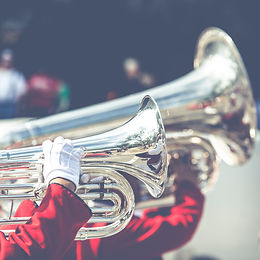 horns.jpg