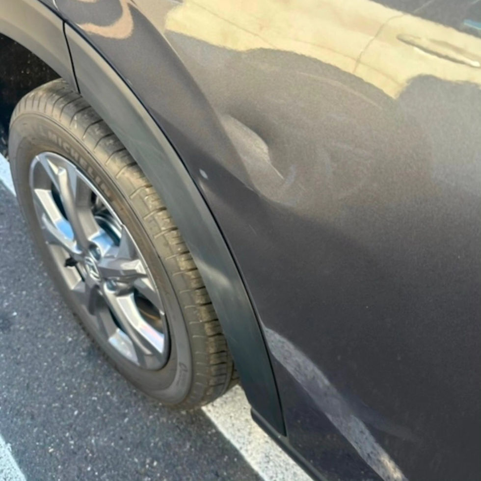 Customer Submitted Photo 2
