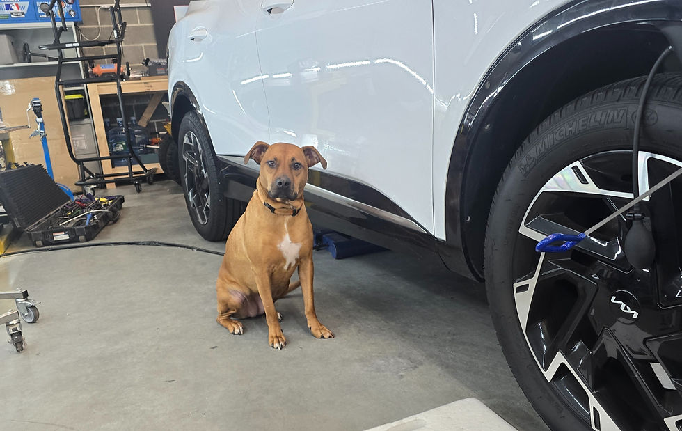 How Much Does Paintless Dent Repair Cost in Connecticut?