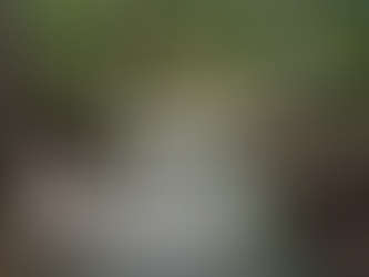 Your Workout Style - Your Way