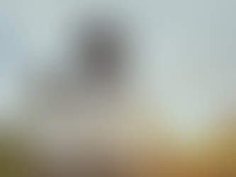 Why You Should Add Elevation to Your Walks