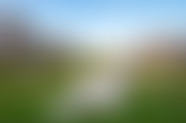 «Хрустальный» открывает онлайн-школу загородного девелопмента