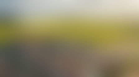 Потенциал развития Байкальского тракта до 24 года. Дороги, школы, торговые центры, парковые зоны