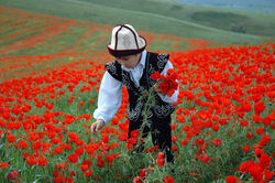 spring-in-Kyrgyzstan-5