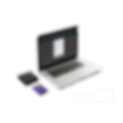 PNP_SITE_PROJECT-11.png