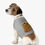 Thumbnail: Donnie’s Got My Back Pet Tank Top — Cute Pancake Dog Graphic