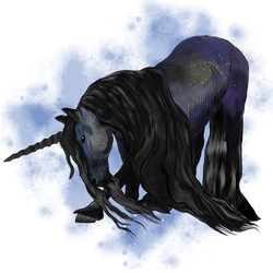 Black Unicorn Stallion