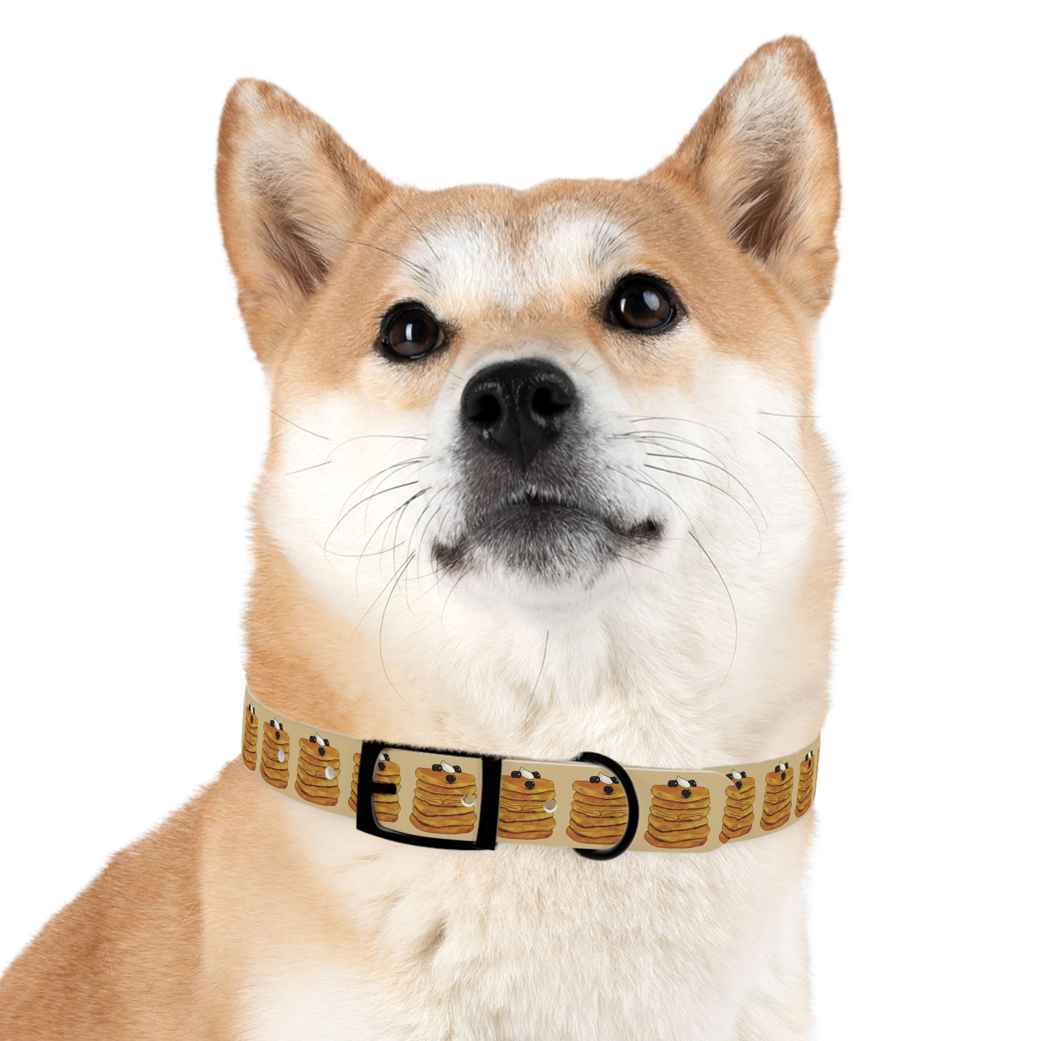 "ONN" Secret Agent Pancake Stack Dog Collar -Themed Pet Collar