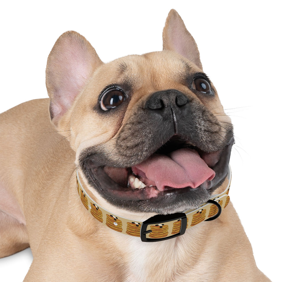 Thumbnail: "ONN" Secret Agent Pancake Stack Dog Collar -Themed Pet Collar