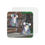 Thumbnail: The Twins Koala Coasters — Size of 4"X4" Cute Coasters for Home, Gifts & Parties