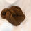 Thumbnail: 180 yrds brown Shetland Wool yarn
