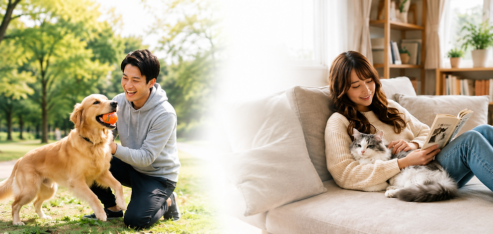 LP新トップ①.png