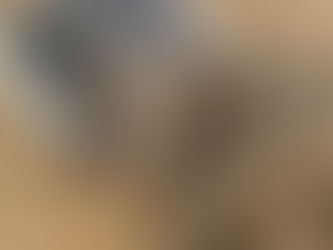 犬や猫と暮らすと人生はどう変わる?科学的に証明された癒し効果