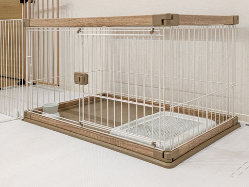なぜ保護犬・保護猫が増えるのか?私たちにできること
