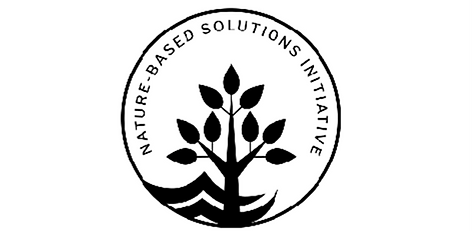 NbSI4.png