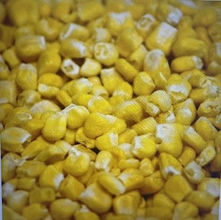 Freeze dried corn kernels