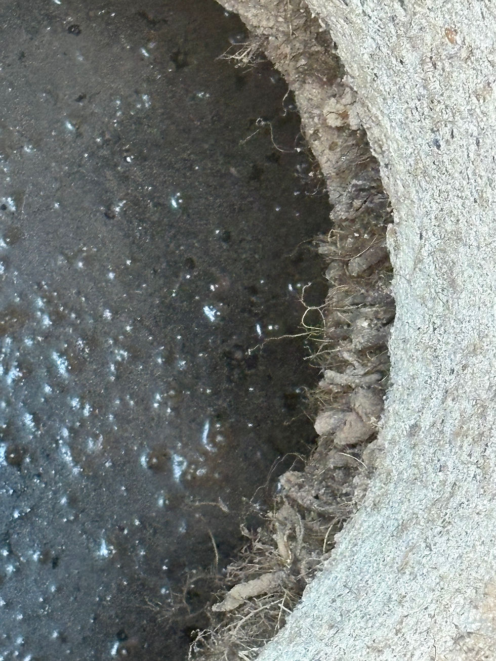 Root hairs from the tree have penetrated the concrete risers. To repair this, we will take out the initial riser, remove all the roots, apply sealant, reattach the top riser, and backfill the area.