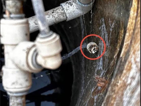 Top Tips for Maintaining Your Septic System in Arizona