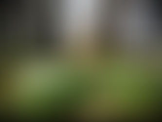 Imbolg-Candlemas Sabbat.