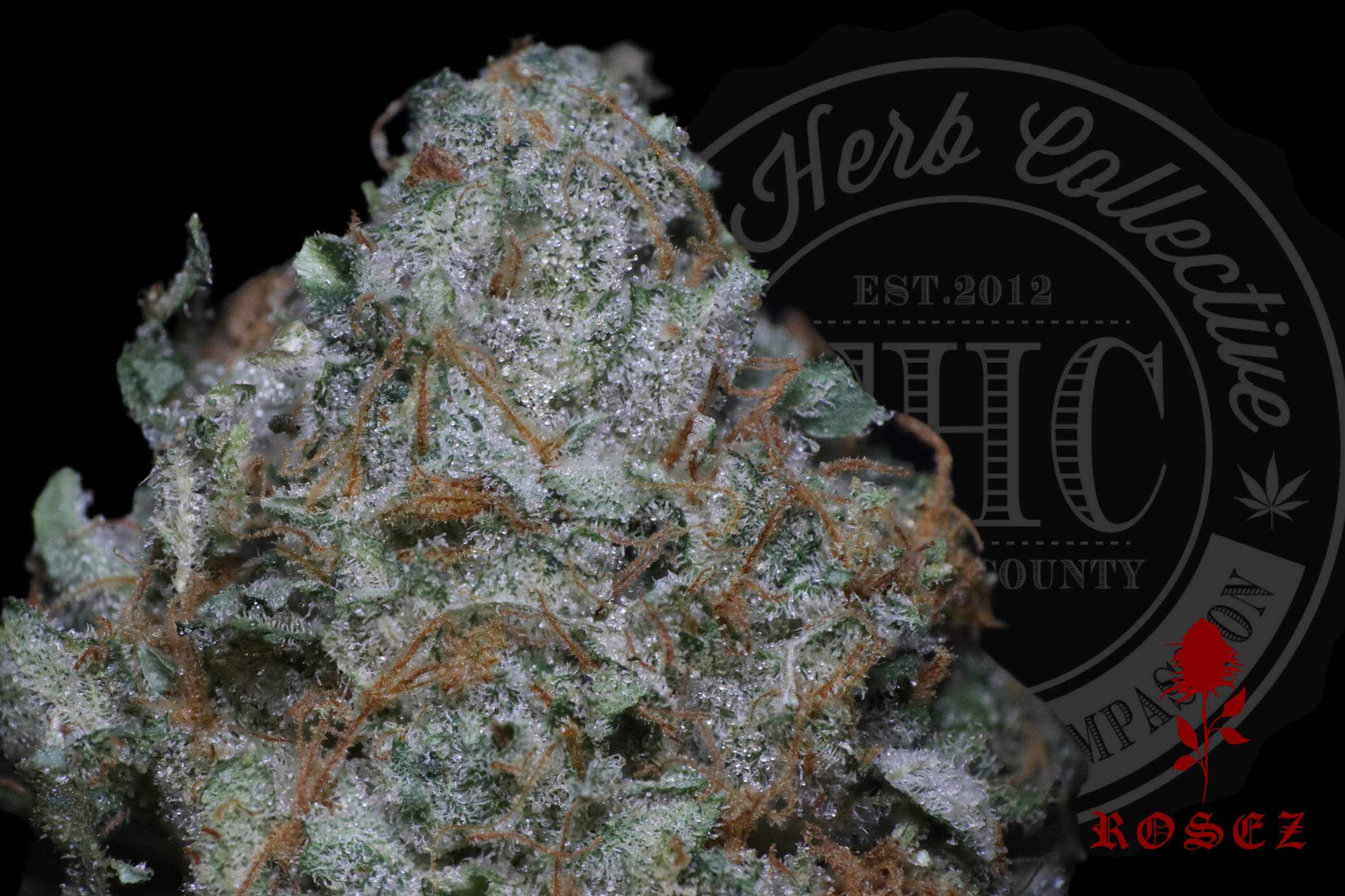 Truffle Butter Mintz 29.8%