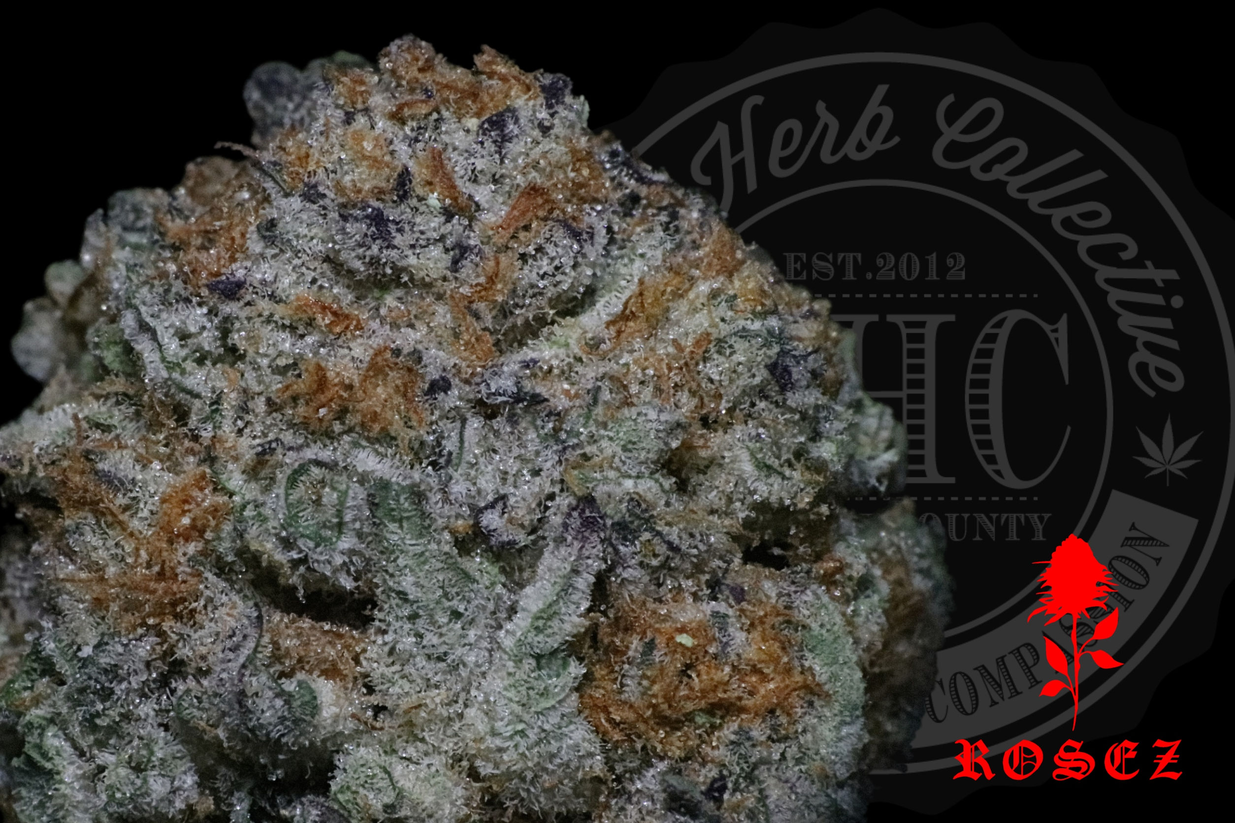 GRAPE DAWG 24.8% | RESERVE | ROSEZ CO.