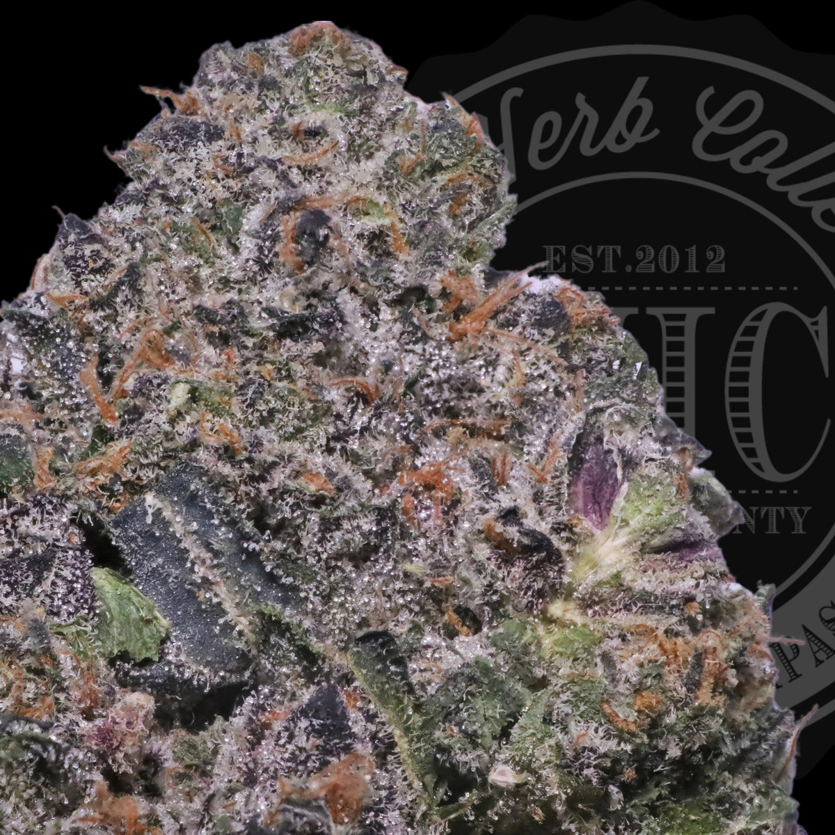 Peppermint Agave 33.6%