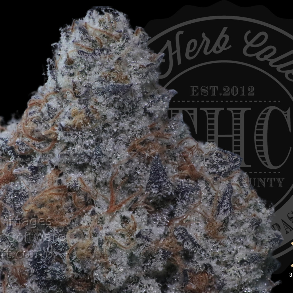 Black Ice 37.8%