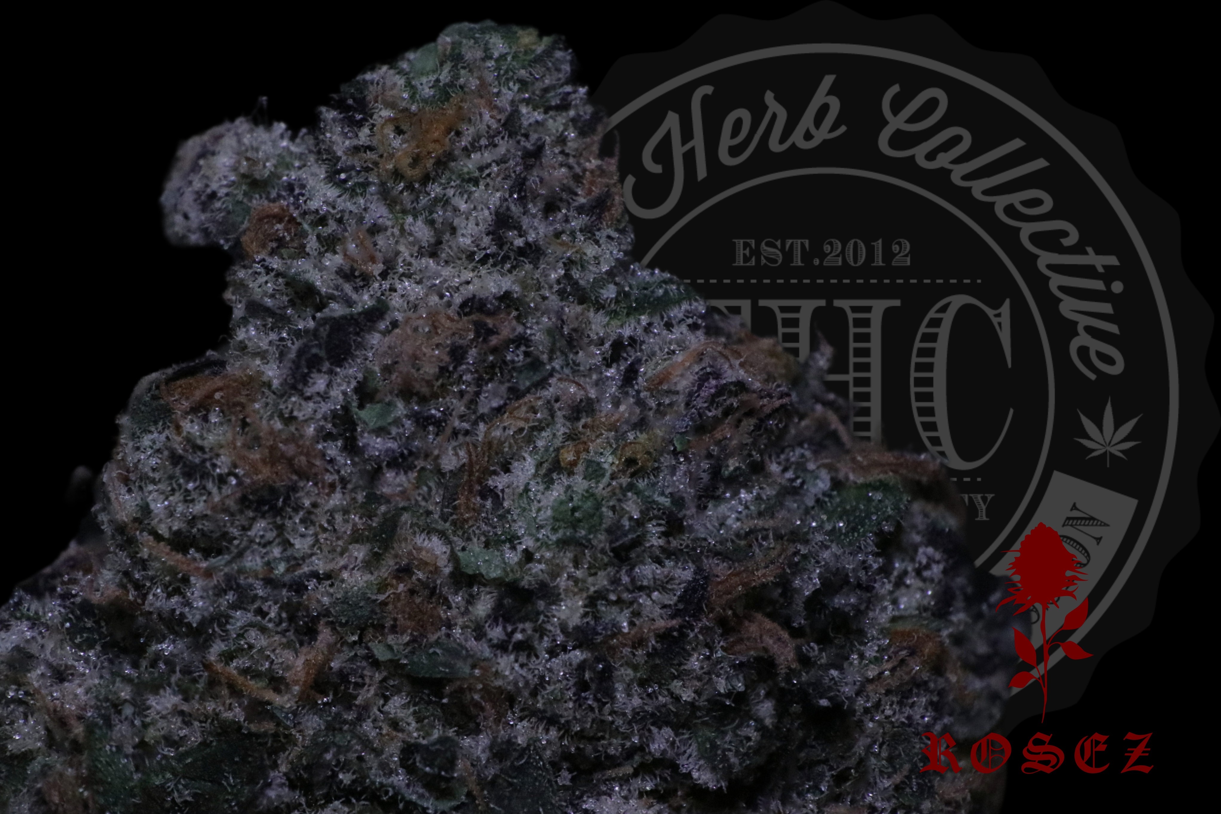 Exotic Headstash — Rosez Co.