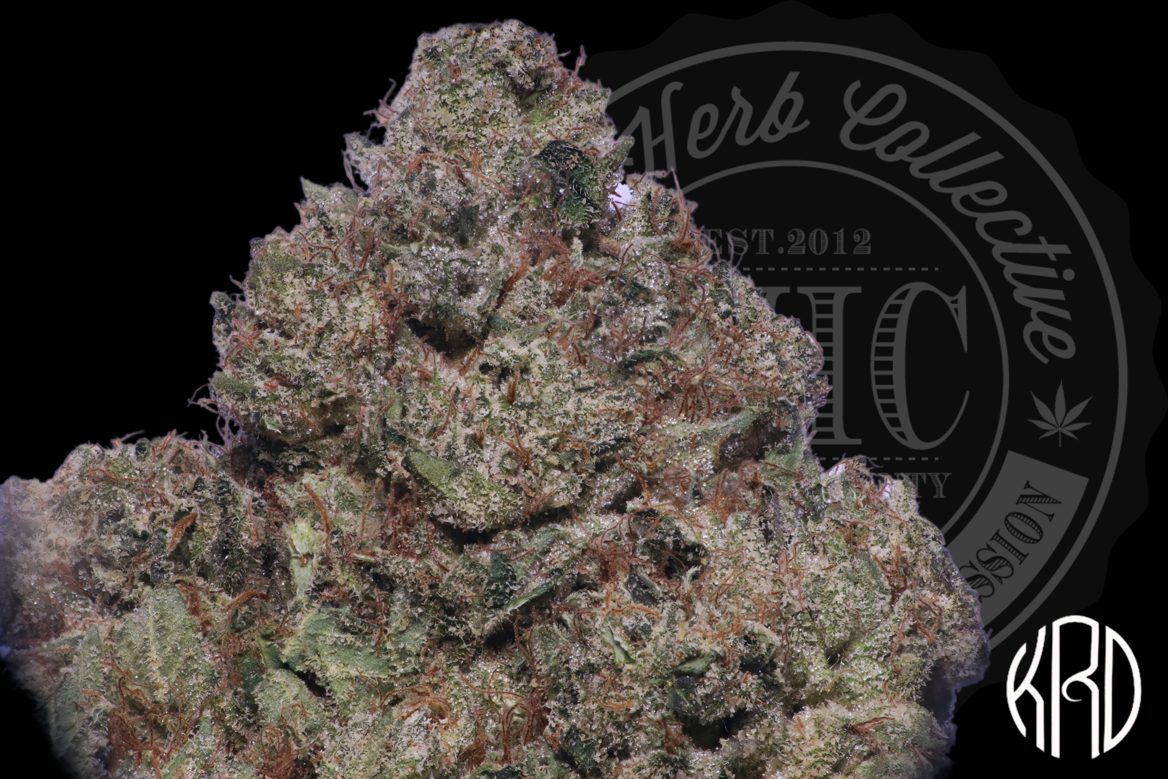 Secret Garden OG 34.2%