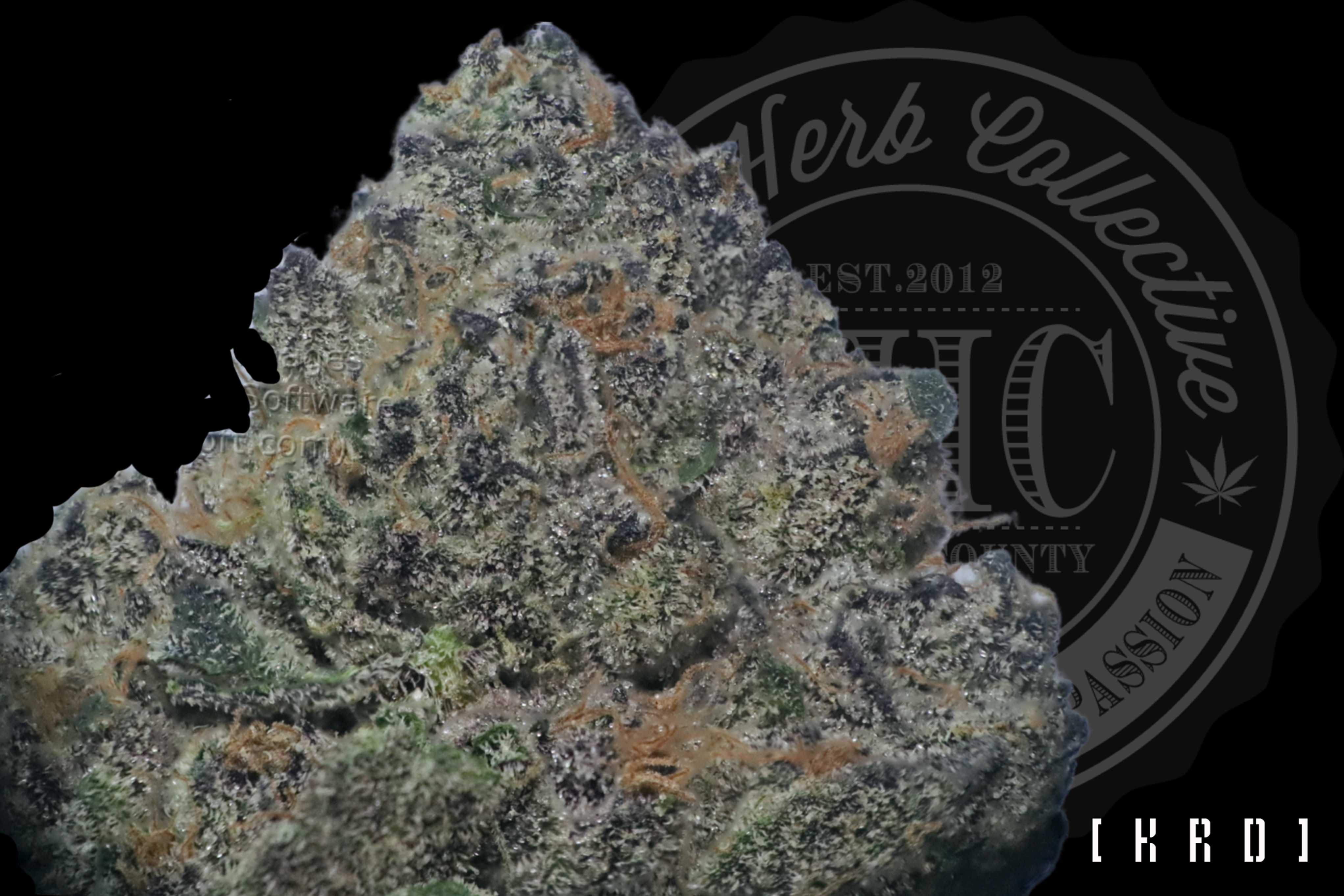 Cinnamon Rolls 33.6%